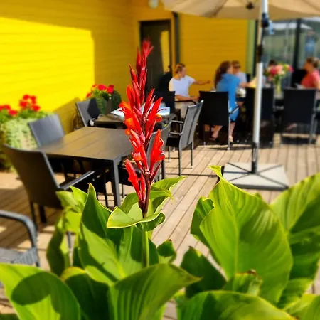 Motel Auksi Motell *